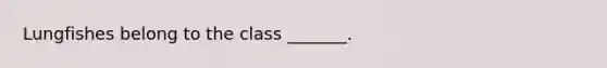 Lungfishes belong to the class _______.