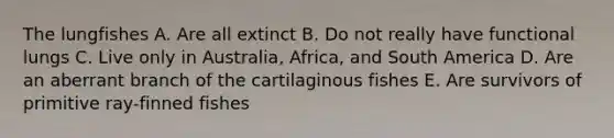 The lungfishes A. Are all extinct B. Do not really have functional lungs C. Live only in Australia, Africa, and South America D. Are an aberrant branch of the cartilaginous fishes E. Are survivors of primitive ray-finned fishes