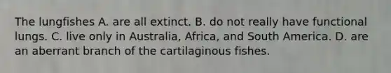 The lungfishes A. are all extinct. B. do not really have functional lungs. C. live only in Australia, Africa, and South America. D. are an aberrant branch of the cartilaginous fishes.