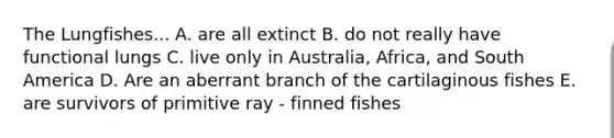 The Lungfishes... A. are all extinct B. do not really have functional lungs C. live only in Australia, Africa, and South America D. Are an aberrant branch of the cartilaginous fishes E. are survivors of primitive ray - finned fishes