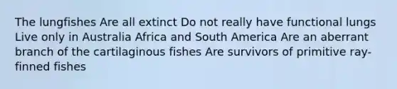 The lungfishes Are all extinct Do not really have functional lungs Live only in Australia Africa and South America Are an aberrant branch of the cartilaginous fishes Are survivors of primitive ray-finned fishes