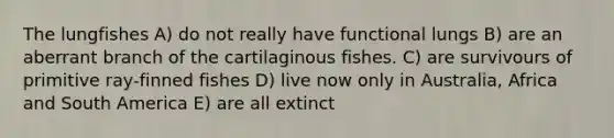 The lungfishes A) do not really have functional lungs B) are an aberrant branch of the cartilaginous fishes. C) are survivours of primitive ray-finned fishes D) live now only in Australia, Africa and South America E) are all extinct