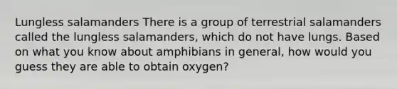 Lungless salamanders There is a group of terrestrial salamanders called the lungless salamanders, which do not have lungs. Based on what you know about amphibians in general, how would you guess they are able to obtain oxygen?