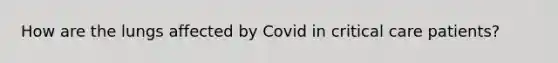 How are the lungs affected by Covid in critical care patients?