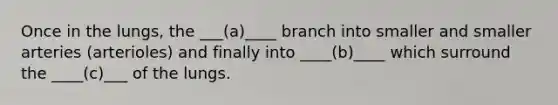 Once in the lungs, the ___(a)____ branch into smaller and smaller arteries (arterioles) and finally into ____(b)____ which surround the ____(c)___ of the lungs.