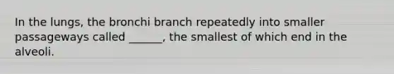 In the lungs, the bronchi branch repeatedly into smaller passageways called ______, the smallest of which end in the alveoli.