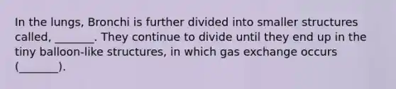 In the lungs, Bronchi is further divided into smaller structures called, _______. They continue to divide until they end up in the tiny balloon-like structures, in which gas exchange occurs (_______).