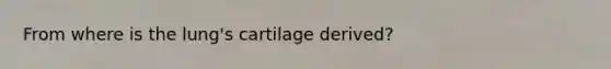 From where is the lung's cartilage derived?