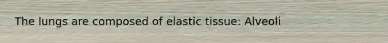 The lungs are composed of elastic tissue: Alveoli