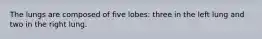 The lungs are composed of five lobes: three in the left lung and two in the right lung.