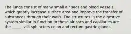 The lungs consist of many small air sacs and blood vessels, which greatly increase surface area and improve the transfer of substances through their walls. The structures in the digestive system similar in function to these air sacs and capillaries are the _____. villi sphincters colon and rectum gastric glands