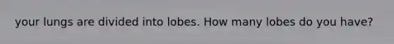 your lungs are divided into lobes. How many lobes do you have?