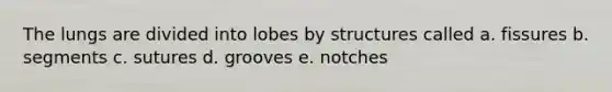 The lungs are divided into lobes by structures called a. fissures b. segments c. sutures d. grooves e. notches