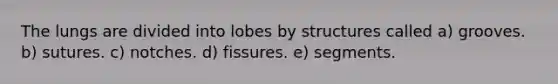 The lungs are divided into lobes by structures called a) grooves. b) sutures. c) notches. d) fissures. e) segments.