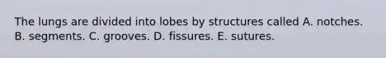 The lungs are divided into lobes by structures called A. notches. B. segments. C. grooves. D. fissures. E. sutures.