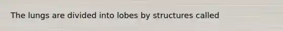 The lungs are divided into lobes by structures called