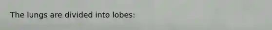 The lungs are divided into lobes: