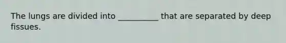 The lungs are divided into __________ that are separated by deep fissues.