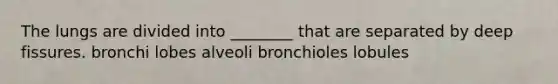 The lungs are divided into ________ that are separated by deep fissures. bronchi lobes alveoli bronchioles lobules