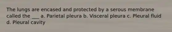 The lungs are encased and protected by a serous membrane called the ___ a. Parietal pleura b. Visceral pleura c. Pleural fluid d. Pleural cavity