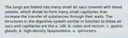 The lungs are folded into many small air sacs covered with blood vessels, which divide to form many small capillaries that increase the transfer of substances through their walls. The structures in the digestive system similar in function to these air sacs and capillaries are the a. villi. b. colon and rectum. c. gastric glands. d. high-density lipopreoteins. e. sphincters.