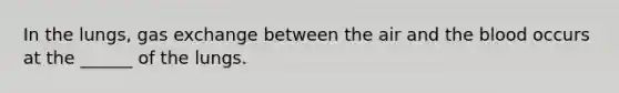In the lungs, gas exchange between the air and the blood occurs at the ______ of the lungs.