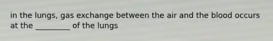 in the lungs, <a href='https://www.questionai.com/knowledge/kU8LNOksTA-gas-exchange' class='anchor-knowledge'>gas exchange</a> between the air and <a href='https://www.questionai.com/knowledge/k7oXMfj7lk-the-blood' class='anchor-knowledge'>the blood</a> occurs at the _________ of the lungs