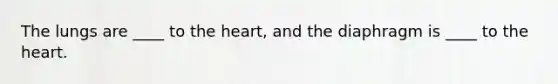 The lungs are ____ to the heart, and the diaphragm is ____ to the heart.