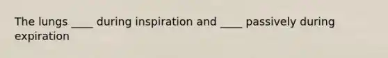 The lungs ____ during inspiration and ____ passively during expiration