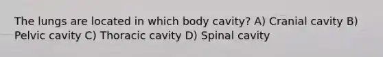 The lungs are located in which body cavity? A) Cranial cavity B) Pelvic cavity C) Thoracic cavity D) Spinal cavity