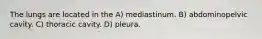 The lungs are located in the A) mediastinum. B) abdominopelvic cavity. C) thoracic cavity. D) pleura.