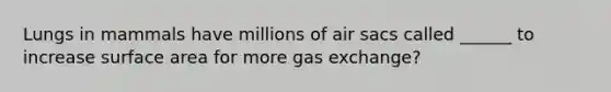 Lungs in mammals have millions of air sacs called ______ to increase surface area for more <a href='https://www.questionai.com/knowledge/kU8LNOksTA-gas-exchange' class='anchor-knowledge'>gas exchange</a>?