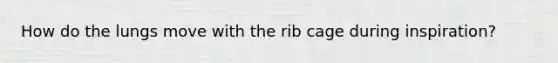 How do the lungs move with the rib cage during inspiration?