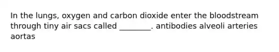 In the lungs, oxygen and carbon dioxide enter the bloodstream through tiny air sacs called ________. antibodies alveoli arteries aortas