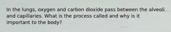 In the lungs, oxygen and carbon dioxide pass between the alveoli and capillaries. What is the process called and why is it important to the body?