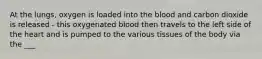At the lungs, oxygen is loaded into the blood and carbon dioxide is released - this oxygenated blood then travels to the left side of the heart and is pumped to the various tissues of the body via the ___