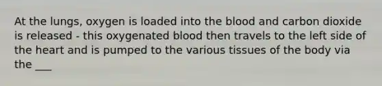 At the lungs, oxygen is loaded into the blood and carbon dioxide is released - this oxygenated blood then travels to the left side of the heart and is pumped to the various tissues of the body via the ___