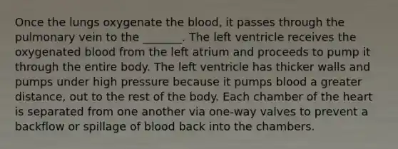 Once the lungs oxygenate the blood, it passes through the pulmonary vein to the _______. The left ventricle receives the oxygenated blood from the left atrium and proceeds to pump it through the entire body. The left ventricle has thicker walls and pumps under high pressure because it pumps blood a greater distance, out to the rest of the body. Each chamber of the heart is separated from one another via one-way valves to prevent a backflow or spillage of blood back into the chambers.