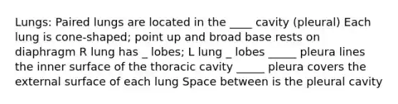 Lungs: Paired lungs are located in the ____ cavity (pleural) Each lung is cone-shaped; point up and broad base rests on diaphragm R lung has _ lobes; L lung _ lobes _____ pleura lines the inner surface of the thoracic cavity _____ pleura covers the external surface of each lung Space between is the pleural cavity