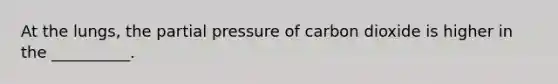 At the lungs, the partial pressure of carbon dioxide is higher in the __________.