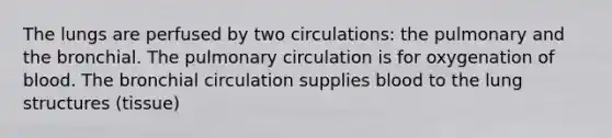 The lungs are perfused by two circulations: the pulmonary and the bronchial. The pulmonary circulation is for oxygenation of blood. The bronchial circulation supplies blood to the lung structures (tissue)