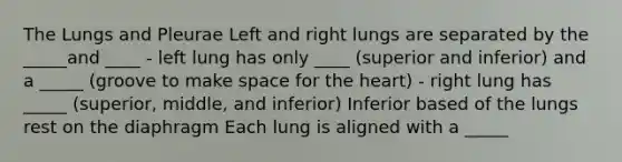 The Lungs and Pleurae Left and right lungs are separated by the _____and ____ - left lung has only ____ (superior and inferior) and a _____ (groove to make space for the heart) - right lung has _____ (superior, middle, and inferior) Inferior based of the lungs rest on the diaphragm Each lung is aligned with a _____