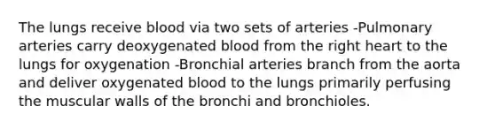 The lungs receive blood via two sets of arteries -Pulmonary arteries carry deoxygenated blood from the right heart to the lungs for oxygenation -Bronchial arteries branch from the aorta and deliver oxygenated blood to the lungs primarily perfusing the muscular walls of the bronchi and bronchioles.