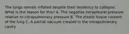 The lungs remain inflated despite their tendency to collapse. What is the reason for this? A. The negative intrapleural pressure relative to intrapulmonary pressure B. The elastic tissue content of the lung C. A partial vacuum created in the intrapulmonary cavity