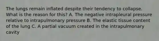 The lungs remain inflated despite their tendency to collapse. What is the reason for this? A. The negative intrapleural pressure relative to intrapulmonary pressure B. The elastic tissue content of the lung C. A partial vacuum created in the intrapulmonary cavity