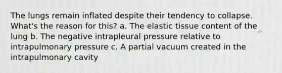 The lungs remain inflated despite their tendency to collapse. What's the reason for this? a. The elastic tissue content of the lung b. The negative intrapleural pressure relative to intrapulmonary pressure c. A partial vacuum created in the intrapulmonary cavity