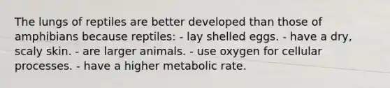 The lungs of reptiles are better developed than those of amphibians because reptiles: - lay shelled eggs. - have a dry, scaly skin. - are larger animals. - use oxygen for cellular processes. - have a higher metabolic rate.