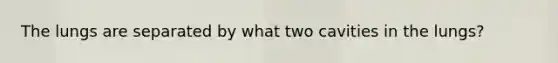 The lungs are separated by what two cavities in the lungs?