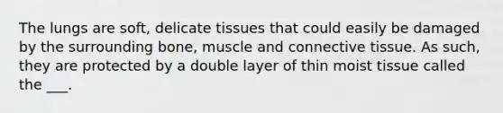 The lungs are soft, delicate tissues that could easily be damaged by the surrounding bone, muscle and connective tissue. As such, they are protected by a double layer of thin moist tissue called the ___.