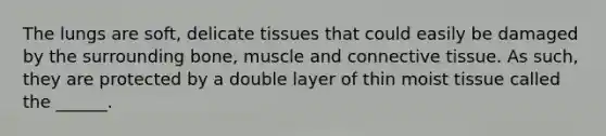 The lungs are soft, delicate tissues that could easily be damaged by the surrounding bone, muscle and <a href='https://www.questionai.com/knowledge/kYDr0DHyc8-connective-tissue' class='anchor-knowledge'>connective tissue</a>. As such, they are protected by a double layer of thin moist tissue called the ______.